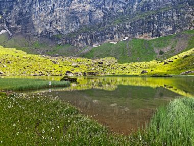 Alp Dağları 'ndaki Blausee ya da Blue Lake (Uri Alp Dağları' ndaki Blausee), İsviçre 'nin Obwald Kantonu (Kanton Obwalden, Schweiz)