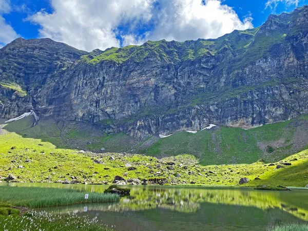 瑞士奥瓦尔德州Melchtal山区Uri Alps地块的高山湖Blausee或蓝湖 Kanton Obwalden Schweiz — 图库照片