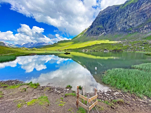 Lago Alpino Blausee Lago Azul Maciço Montanhoso Dos Alpes Uri — Fotografia de Stock