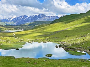 Alp Dağları 'ndaki Blausee ya da Blue Lake (Uri Alp Dağları' ndaki Blausee), İsviçre 'nin Obwald Kantonu (Kanton Obwalden, Schweiz)