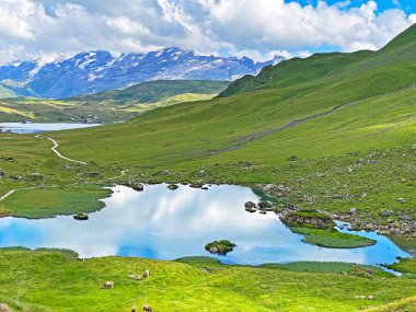 Alp Dağları 'ndaki Blausee ya da Blue Lake (Uri Alp Dağları' ndaki Blausee), İsviçre 'nin Obwald Kantonu (Kanton Obwalden, Schweiz)