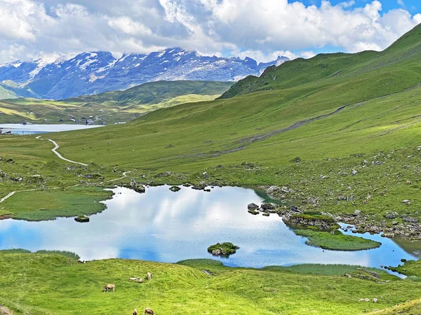 Lac Alpin Blausee Lac Bleu Dans Massif Des Alpes Uri — Photo
