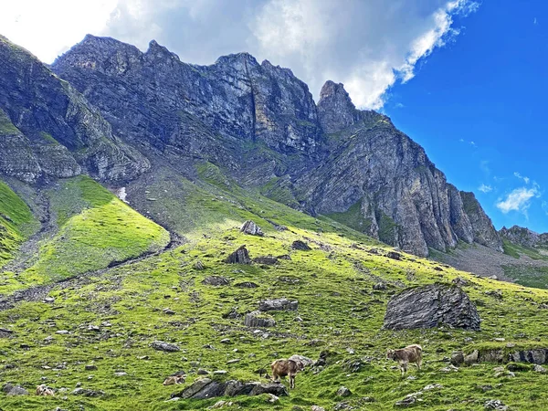 Skály Kameny Horském Masivu Švýcarské Uri Alpy Melchtal Kanton Obwald — Stock fotografie