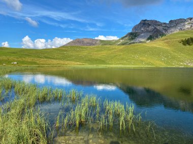 Uri Alp Dağları 'ndaki Seefeldsee ya da Seefeld Gölü, Sachseln - Obwald Kantonu, İsviçre (Kanton Obwalden, Schweiz)
