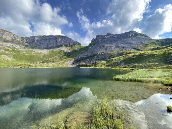 瑞士奥瓦尔德州Sachseln市Uri Alps山区地块的高山湖Seefeldsee或Seefeld湖 Kanton Obwalden Schweiz — 图库照片