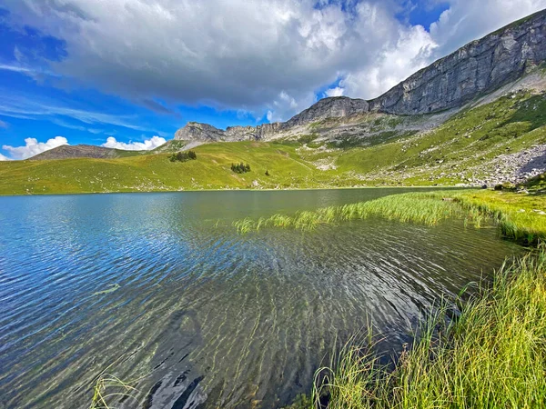알프스 산맥의 호수에 스위스 바이츠 — 스톡 사진