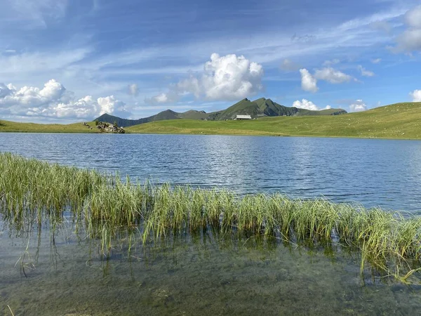 Lago Alpino Seefeldsee Lago Seefeld Nel Massiccio Delle Alpi Uri — Foto Stock