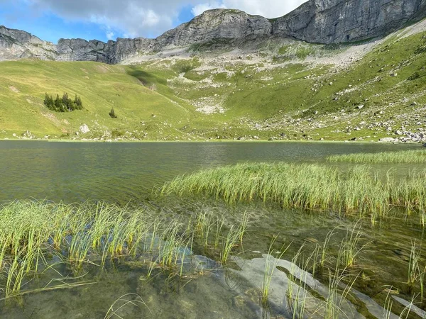 Den Alpina Sjön Seefeldsee Eller Seefeld Lake Bergsmassivet Uri Alperna — Stockfoto