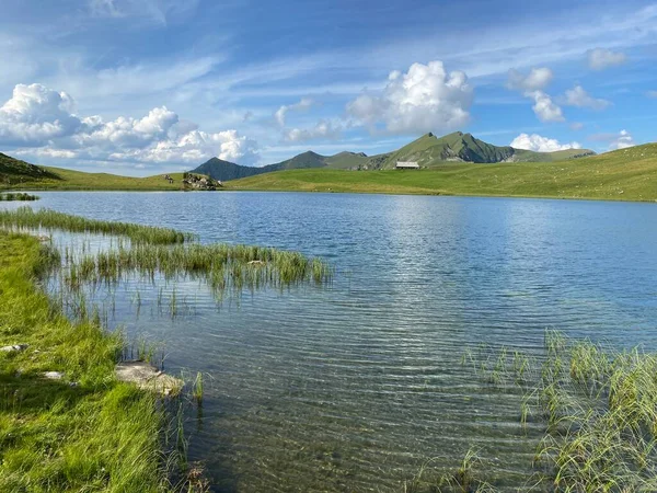 Der Seefeldsee Oder Seefelder See Den Urner Alpen Sachseln Kanton — Stockfoto