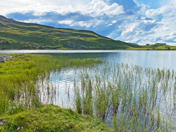 Uri Alp Dağları 'ndaki Seefeldsee ya da Seefeld Gölü, Sachseln - Obwald Kantonu, İsviçre (Kanton Obwalden, Schweiz)