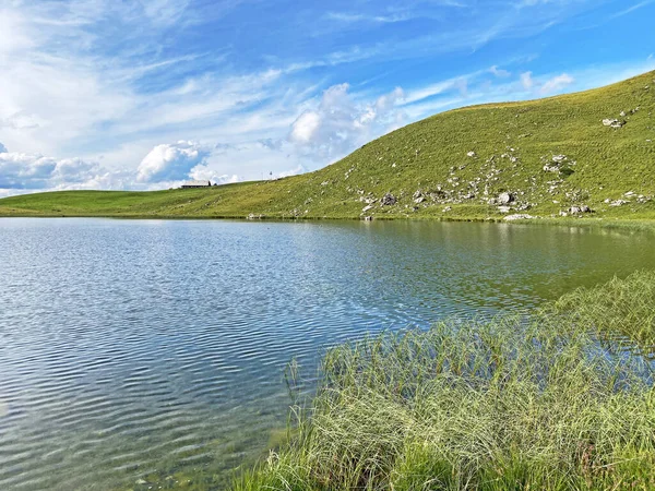 Lago Alpino Seefeldsee Lago Seefeld Nel Massiccio Delle Alpi Uri — Foto Stock