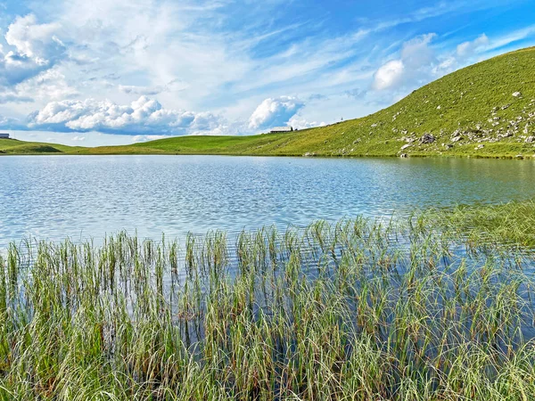 Danau Alpen Seefeldsee Atau Danau Seefeld Pegunungan Alpen Uri Sachseln — Stok Foto