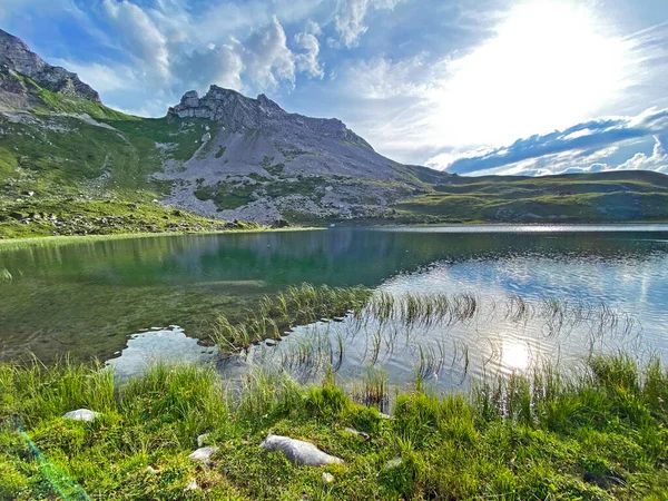 알프스 산맥의 호수에 스위스 바이츠 — 스톡 사진