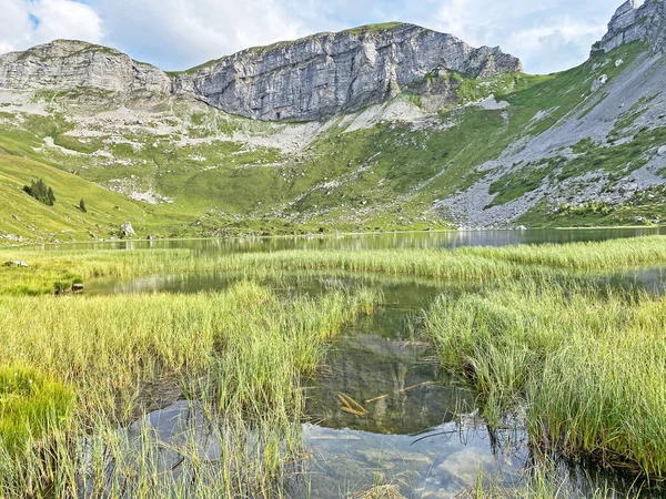 Lago Alpino Seefeldsee Lago Seefeld Nel Massiccio Delle Alpi Uri — Foto Stock