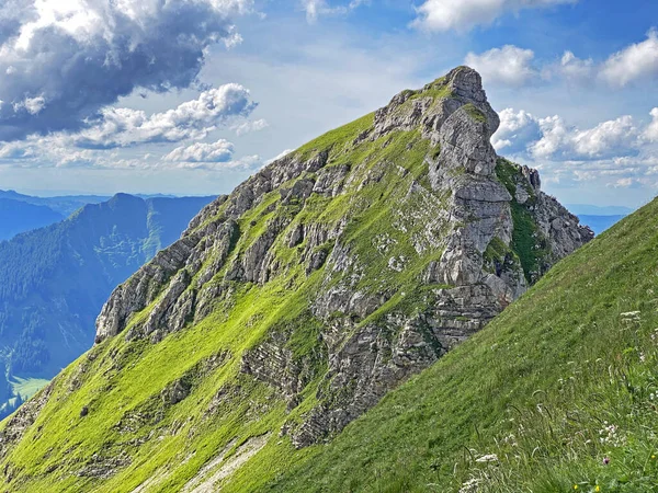 Pico Alpino Seefeldstock Sobre Lago Seefeldsee Macizo Montaña Los Alpes — Foto de Stock