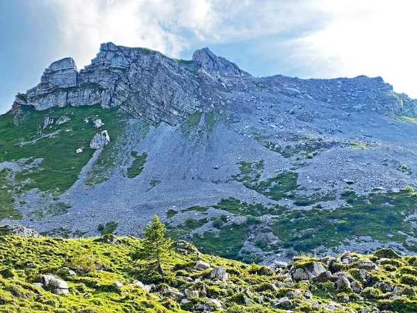 Alpine Peak Seefeldstock Seefeldsee Lake Uri Alps Mountain Massif Sachseln — Fotografia de Stock