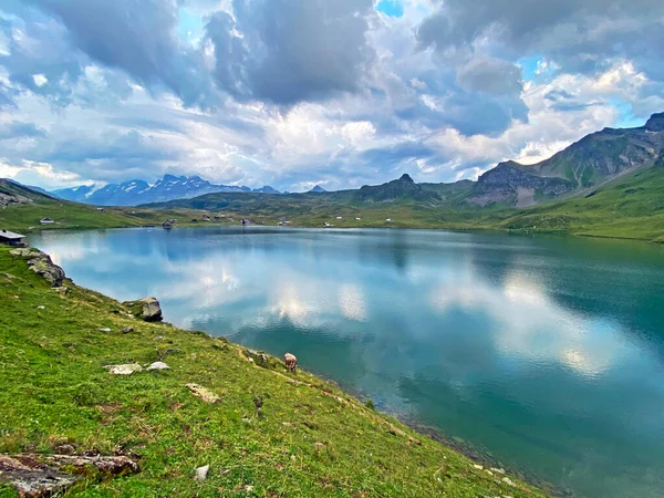 Uri Alp Dağları 'ndaki Melchsee ya da Melch Gölü, Kerns - İsviçre' nin Obwald Kantonu (Kanton Obwalden, Schweiz)