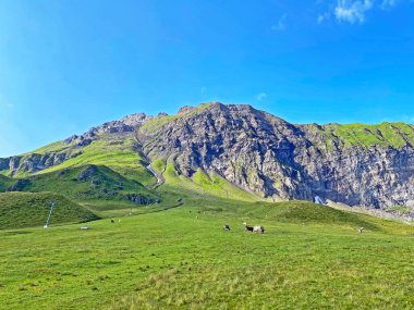 Melchsee Gölü 'nün yukarısında ve Uri Alpleri dağ kütlesi Melchtal' da (Kanton Obwalden, Schweiz) bulunan Alp tepesi Glogghues (Glogghues veya Glogghus).)