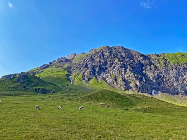 Alpejski Szczyt Glogghs Glogghues Lub Glogghus Nad Jeziorem Melchsee Masywie — Zdjęcie stockowe