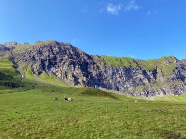 Alp tepeleri Glogghues (veya Glogghus) ve Fulenberg Melchsee Gölü 'nün yukarısında ve Uri Alpleri dağ kitlesi, Melchtal - Kanton of Obwald, İsviçre / Kanton Obwalden, Schweiz