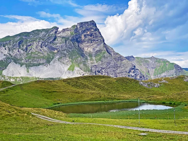 Uri Alp dağlarında Chli Haupt Murmelchopf ve Haupt veya Bruenighaupt (veya Brunighaupt) tepeleri, Melchtal - Kanton of Obwald, İsviçre (Kanton Obwalden, Schweiz))