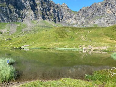 Alp Gölü Blausee veya Mavi Göl Melch Vadisi 'nin yukarısında ve Uri Alp Dağları' nda, Melchtal Kantonu, İsviçre (Kanton Obwalden, Schweiz)