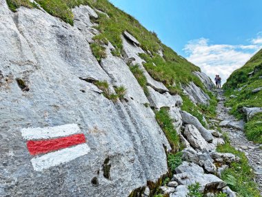Melchtal Alp Vadisi 'nin yamaçlarında ve Uri Alp Dağları' nda bulunan Kerns Kanton of Obwald, İsviçre (Kanton Obwalden, Schweiz)