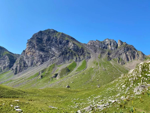 Alpejski Szczyt Hochstollen Nad Doliną Melchtal Masyw Górski Alpach Uri — Zdjęcie stockowe