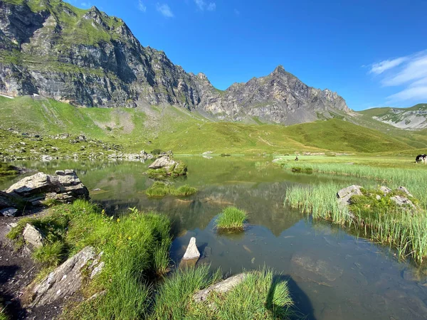 位于Melch山谷上方的Blausee高山湖或Blue Lake 以及瑞士Obwald州Melchtal Canton的Uri Alps山区地块 Kanton Obwalden Schweiz — 图库照片