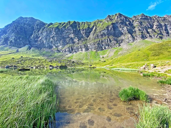 Alp Gölü Blausee veya Mavi Göl Melch Vadisi 'nin yukarısında ve Uri Alp Dağları' nda, Melchtal Kantonu, İsviçre (Kanton Obwalden, Schweiz)