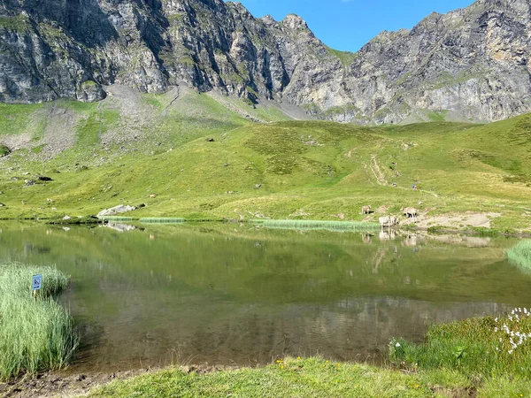 Alp Gölü Blausee veya Mavi Göl Melch Vadisi 'nin yukarısında ve Uri Alp Dağları' nda, Melchtal Kantonu, İsviçre (Kanton Obwalden, Schweiz)