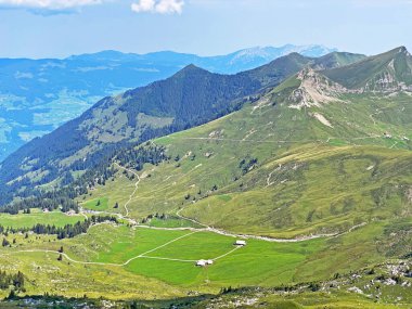 Uri Alp Dağları 'nın yamaçlarında Alp çayırları ve çayırları, Melchtal - Obwald Kantonu, İsviçre (Kanton Obwalden, Schweiz)