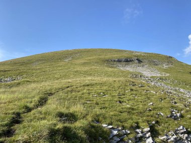 Uri Alp Dağları 'nın yamaçlarında Alp çayırları ve çayırları, Melchtal - Obwald Kantonu, İsviçre (Kanton Obwalden, Schweiz)
