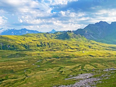 Uri Alp Dağları 'nın yamaçlarında Alp çayırları ve çayırları, Melchtal - Obwald Kantonu, İsviçre (Kanton Obwalden, Schweiz)