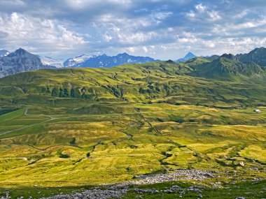 Uri Alp Dağları 'nın yamaçlarında Alp çayırları ve çayırları, Melchtal - Obwald Kantonu, İsviçre (Kanton Obwalden, Schweiz)