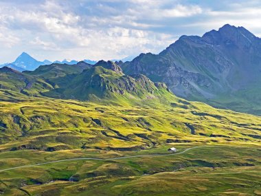 Uri Alp Dağları 'nın yamaçlarında Alp çayırları ve çayırları, Melchtal - Obwald Kantonu, İsviçre (Kanton Obwalden, Schweiz)