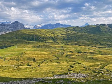 Uri Alp Dağları 'nın yamaçlarında Alp çayırları ve çayırları, Melchtal - Obwald Kantonu, İsviçre (Kanton Obwalden, Schweiz)