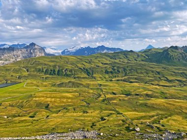 Uri Alp Dağları 'nın yamaçlarında Alp çayırları ve çayırları, Melchtal - Obwald Kantonu, İsviçre (Kanton Obwalden, Schweiz)