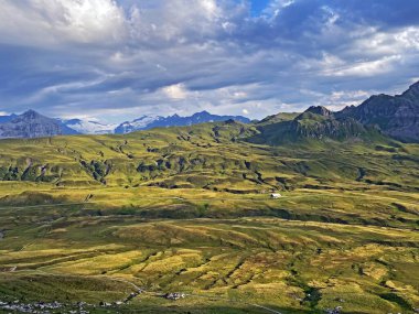 Uri Alp Dağları 'nın yamaçlarında Alp çayırları ve çayırları, Melchtal - Obwald Kantonu, İsviçre (Kanton Obwalden, Schweiz)
