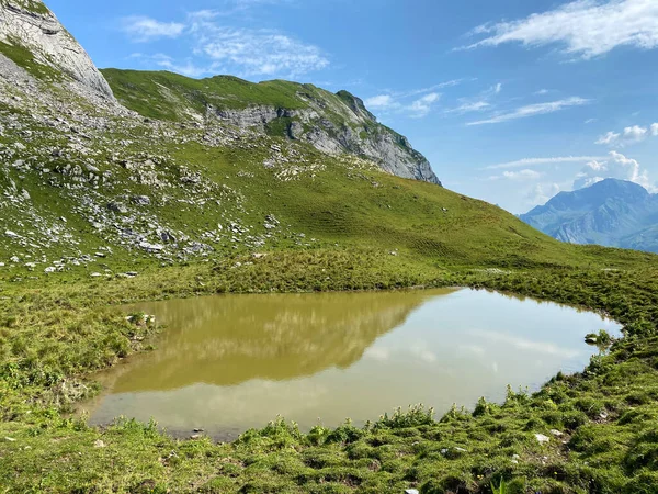 Uri Alp Dağları 'ndaki dağ tepelerindeki isimsiz küçük dağlık göller ve doğal mini göller, Kerns - Obwald Kantonu, İsviçre (Kanton Obwalden, Schweiz)