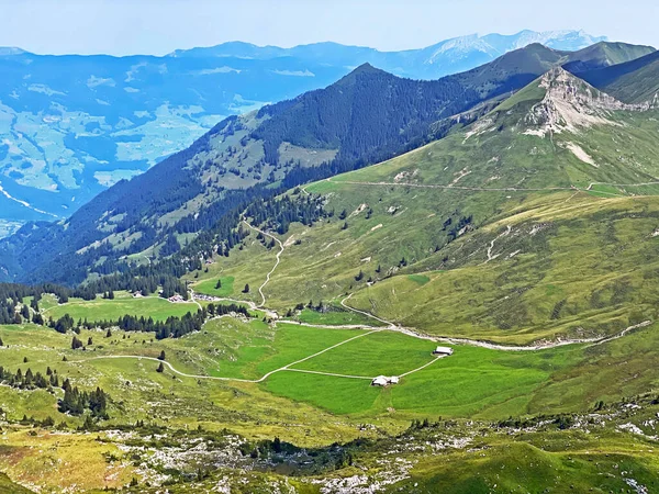 アルプス山脈の斜面にあるアルプスの牧草地と牧草地の塊 メルカル スイスのオブヴァルト州 カントン オブヴァルト スイス — ストック写真