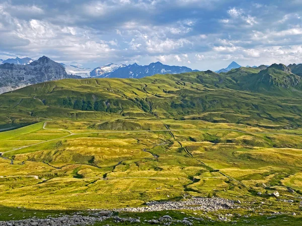 Uri Alp Dağları 'nın yamaçlarında Alp çayırları ve çayırları, Melchtal - Obwald Kantonu, İsviçre (Kanton Obwalden, Schweiz)