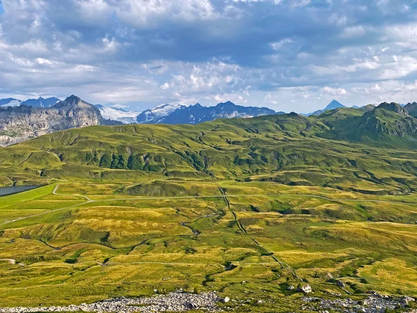 Prairies Alpines Pâturages Sur Les Pentes Massif Des Alpes Uri — Photo