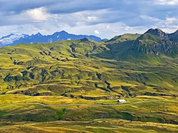 Prairies Alpines Pâturages Sur Les Pentes Massif Des Alpes Uri — Photo