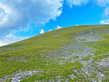 Tannensee Gölü 'nün (veya Tannen Gölü) yukarısındaki Gross Hohmad tepesi ve Uri Alpleri dağ kütlesi, Melchtal - İsviçre' nin Obwald Kantonu (Kanton Obwalden, Schweiz))