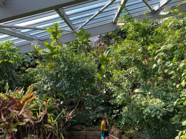 Zürih Hayvanat Bahçesi veya Zürih Hayvanat Bahçesi - die Landschaft des zurcher Zoos oder Zuerich Zooloji Bahçesi - Zürih (Zuerich), İsviçre / Schweiz