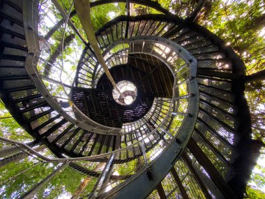Masoala Yağmur Ormanları - Der Masoala Regenwald - La Foret Pluviale de Masoala - La Foresta pluviale Masoala - Hayvanat Bahçesi Zürih (Zuerich), İsviçre / Schweiz