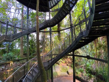 Masoala Yağmur Ormanları - Der Masoala Regenwald - La Foret Pluviale de Masoala - La Foresta pluviale Masoala - Hayvanat Bahçesi Zürih (Zuerich), İsviçre / Schweiz