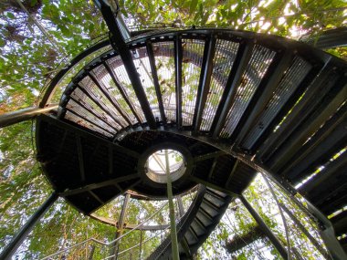 Masoala Yağmur Ormanları - Der Masoala Regenwald - La Foret Pluviale de Masoala - La Foresta pluviale Masoala - Hayvanat Bahçesi Zürih (Zuerich), İsviçre / Schweiz