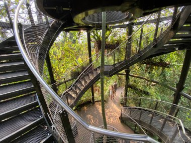 Masoala Yağmur Ormanları - Der Masoala Regenwald - La Foret Pluviale de Masoala - La Foresta pluviale Masoala - Hayvanat Bahçesi Zürih (Zuerich), İsviçre / Schweiz